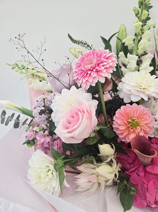 The Designer's Choice